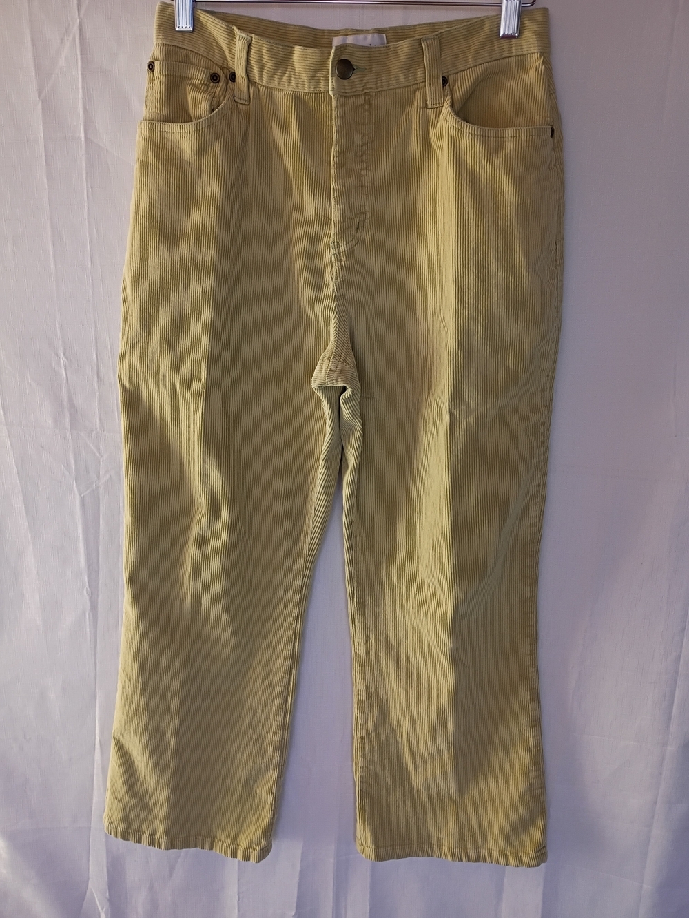 Chadwicks Women's Corduroy Pants in Powder Green Size 12Petite